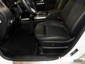 Mercedes-Benz B 200 Progressive+Kamera+Memory+Easy-P. Heckkl. Weiß - thumbnail 12