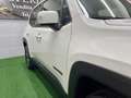 Jeep Renegade Renegade 1.6 mjt Longitude 2wd 120cv Bianco - thumbnail 5