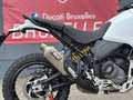 Ducati DesertX | "À Saisir" Blanc - thumbnail 13