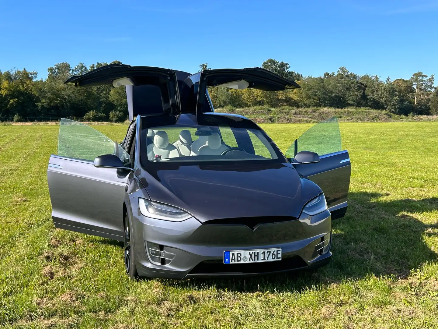 Tesla Model X Performance Grau - 1