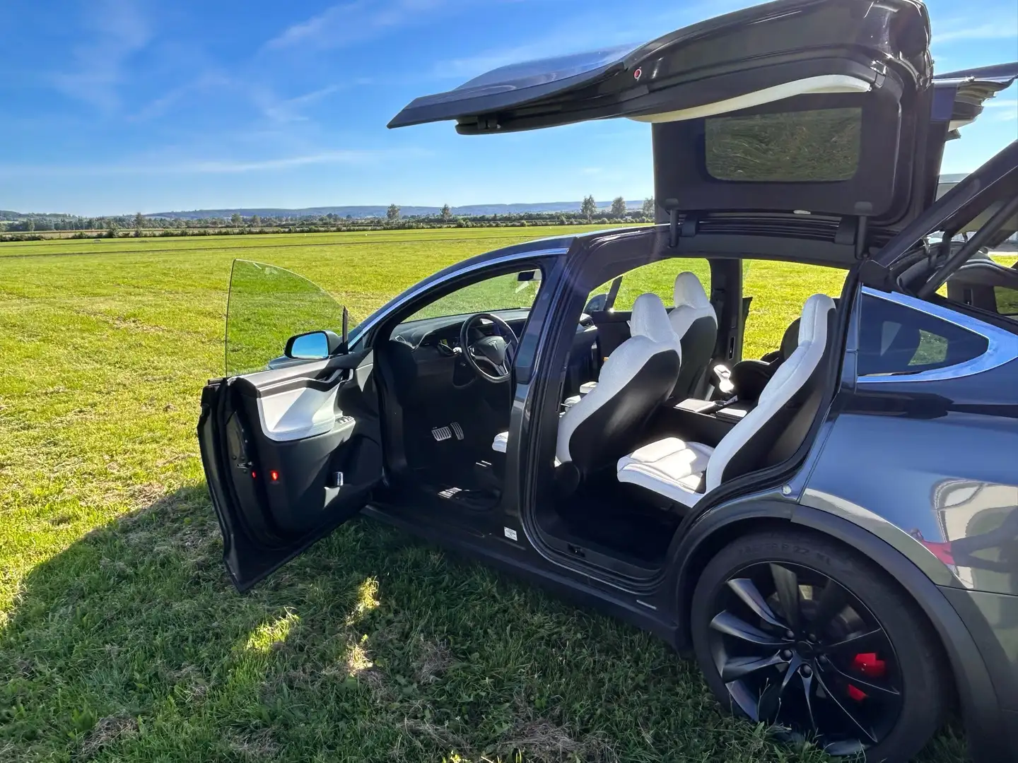 Tesla Model X Performance Grau - 2