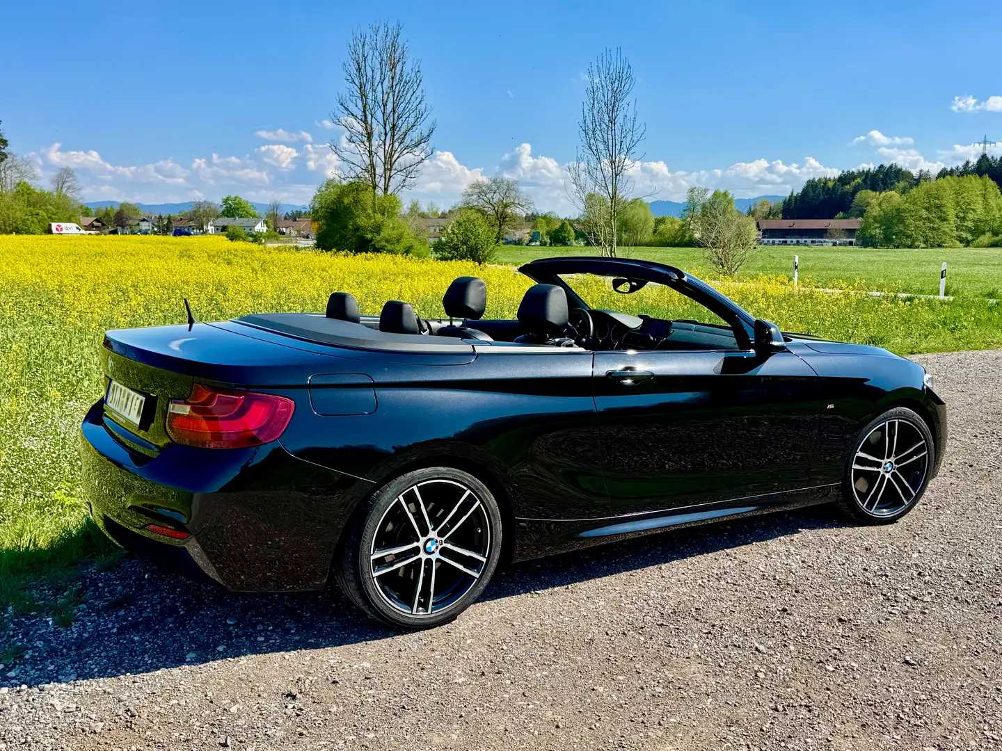 BMW 228 228i Cabrio Sport-Aut. M Sport Negru - 2
