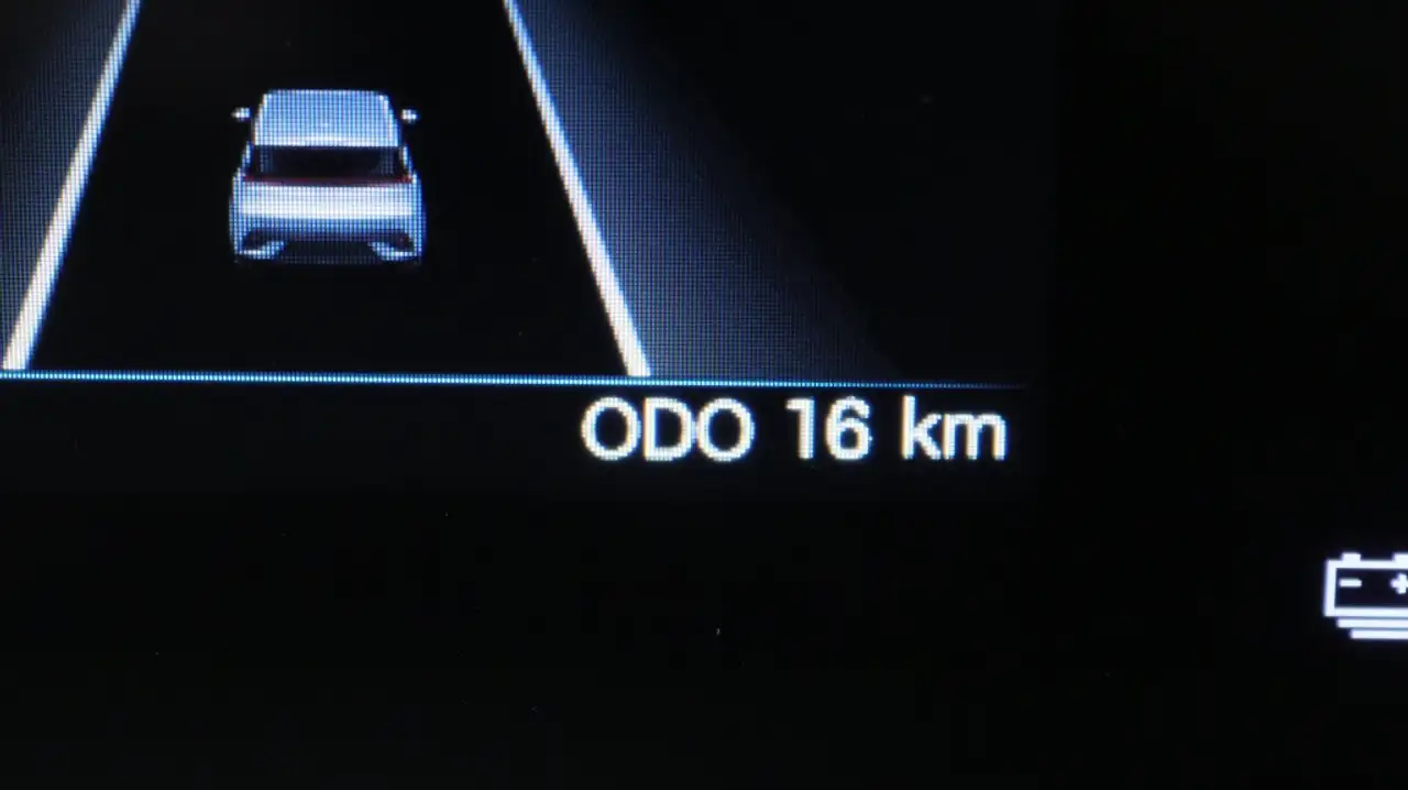 BYD DOLPHIN SURF