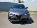 Alfa Romeo Stelvio My25 Veloce 2.0 Turbo Q4 Grau - thumbnail 8