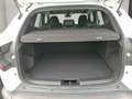 Dacia Duster Dacia Duster Journey TCe 130 Weiß - thumbnail 11