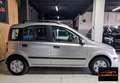 Fiat Panda 1.2 Dynamic Gris - thumbnail 3