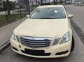 Mercedes-Benz E 200 E 200 CDI DPF BlueEFFICIENCY Automatik Amarillo - thumbnail 3