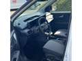 Ford Tourneo Courier E-Titanium Weiß - thumbnail 7