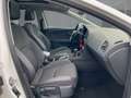 SEAT Leon ST FR 1.5 TSI G-TEC Pano Winter-Paket Weiß - thumbnail 8