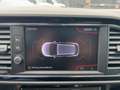 SEAT Leon ST FR 1.5 TSI G-TEC Pano Winter-Paket Weiß - thumbnail 15
