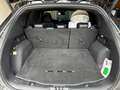 Ford Kuga 2,5 Duratec PHEV Schwarz - thumbnail 8