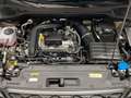SEAT Arona 1.0 TSI S&S FR XM 115 Negro - thumbnail 14