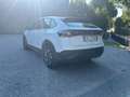 Volkswagen Taigo Taigo 1.0 tsi Life 95cv Blanc - thumbnail 6