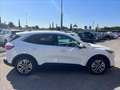 Ford Kuga 2.5 phev Titanium 2wd 225cv e-shifter Blanc - thumbnail 5