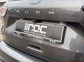 Ford Kuga 2.0D EcoBlue AWD ST-Line X Aut. Assistenzpaket/... Grau - thumbnail 39