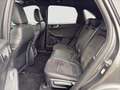 Ford Kuga 2.0D EcoBlue AWD ST-Line X Aut. Assistenzpaket/... Grau - thumbnail 12