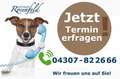 Mercedes-Benz V 300 d Avantgarde EXTRA LANG +360°+Standheiz.+8SP+Mulib Noir - thumbnail 4