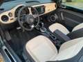 Volkswagen Beetle 2.0 TSI DSG BMT Exclusive Cabrio*TOP* Blau - thumbnail 9