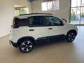 Fiat Panda Pandina 1.0 firefly hybrid 2025 Cross Km 13000 Bianco - thumbnail 7