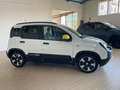Fiat Panda Pandina 1.0 firefly hybrid 2025 Cross Km 13000 Bianco - thumbnail 2