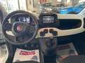 Fiat Panda Pandina 1.0 firefly hybrid 2025 Cross Km 13000 Bianco - thumbnail 10