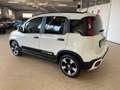 Fiat Panda Pandina 1.0 firefly hybrid 2025 Cross Km 13000 Bianco - thumbnail 5