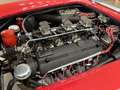 Ferrari 250 250 LWB CALIFORNIA REALIZZATA SU FERRARI 250 GT P Rood - thumbnail 12