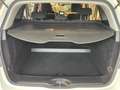 Mercedes-Benz B 180 1.6 Benzina Executive E6 OK Neopatentati Bianco - thumbnail 13