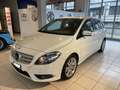 Mercedes-Benz B 180 1.6 Benzina Executive E6 OK Neopatentati Bianco - thumbnail 1