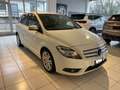 Mercedes-Benz B 180 1.6 Benzina Executive E6 OK Neopatentati Bianco - thumbnail 3