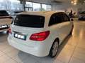Mercedes-Benz B 180 1.6 Benzina Executive E6 OK Neopatentati Bianco - thumbnail 4