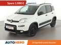 Fiat Panda 1.3 M-Jet 4x4*PDC*AHK*KLIMA*GARANTIE* Weiß - thumbnail 1