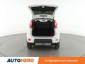 Fiat Panda 1.3 M-Jet 4x4*PDC*AHK*KLIMA*GARANTIE* Weiß - thumbnail 16