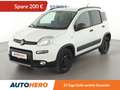 Fiat Panda 1.3 M-Jet 4x4*PDC*AHK*KLIMA*GARANTIE* Weiß - thumbnail 1