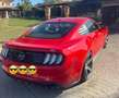 Ford Mustang Fastback GT 736 Ps Wolf Tuning Rot - thumbnail 3
