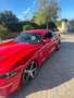 Ford Mustang Fastback GT 736 Ps Wolf Tuning Rot - thumbnail 1