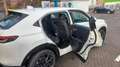 Honda HR-V HR-V e:HEV 1.5 i-MMD Hybrid Advance Alb - thumbnail 3