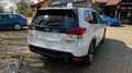 Subaru Forester 2.0ie EDITION BLACK PLATINUM Blanc - thumbnail 4