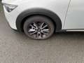 Mazda CX-3 SKYACTIV-G 120 FWD Sports-Line Blanco - thumbnail 10