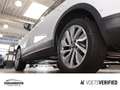 Volkswagen T-Roc Goal 1.5 TSI DSG AHK+NAVI+LED+SHZ+GRA Weiß - thumbnail 6