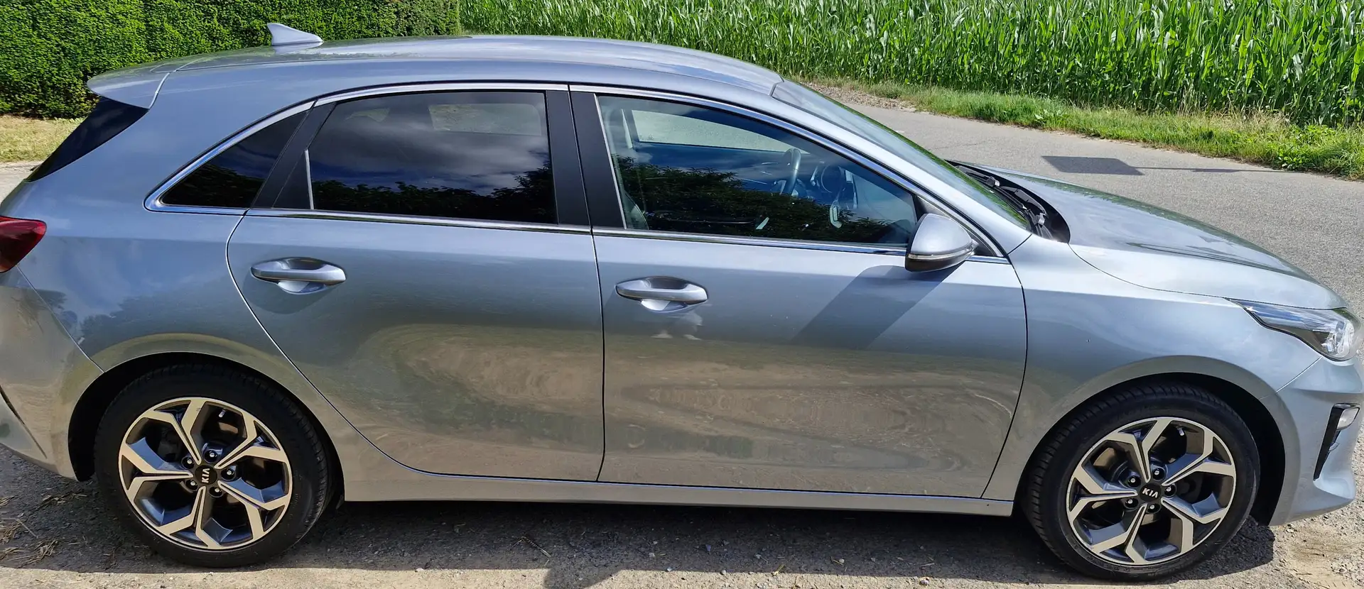 Kia Ceed / cee'd CeeD 1.6 CRDi More ISG Gris - 2