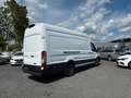 Ford Transit Kasten 350 L4 Trend/KAMERA /TÜV NEU Weiß - thumbnail 3