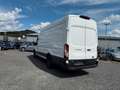 Ford Transit Kasten 350 L4 Trend/KAMERA /TÜV NEU Weiß - thumbnail 4