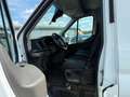Ford Transit Kasten 350 L4 Trend/KAMERA /TÜV NEU Weiß - thumbnail 9