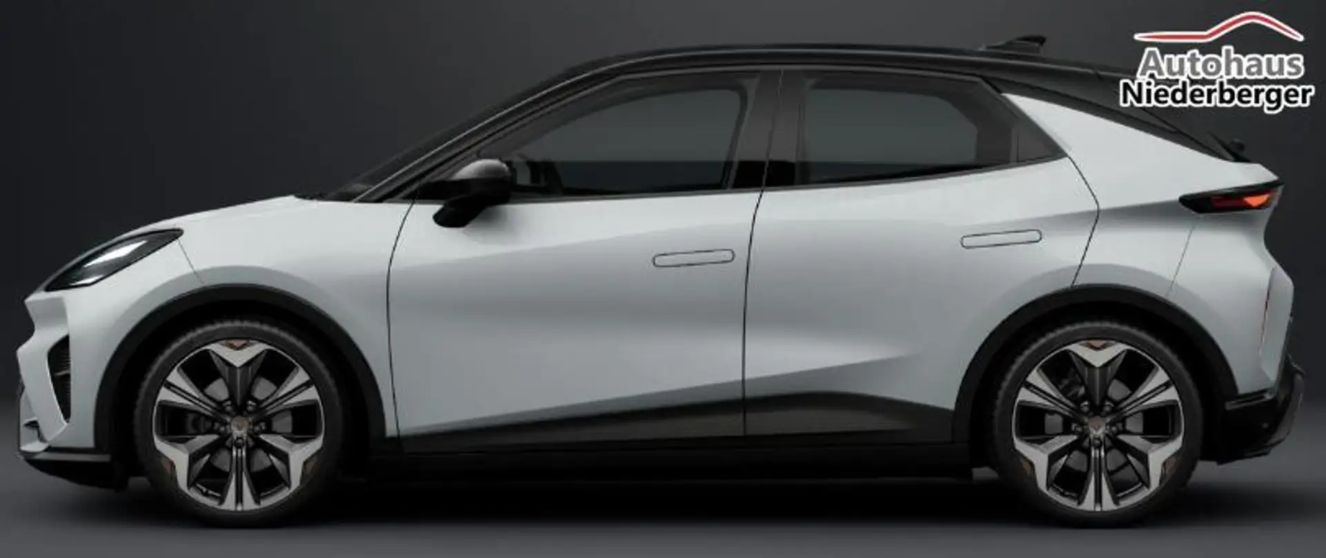 CUPRA Raval Endurance "Endurance" 210/55, 5 Jahre Garantie,... - 2