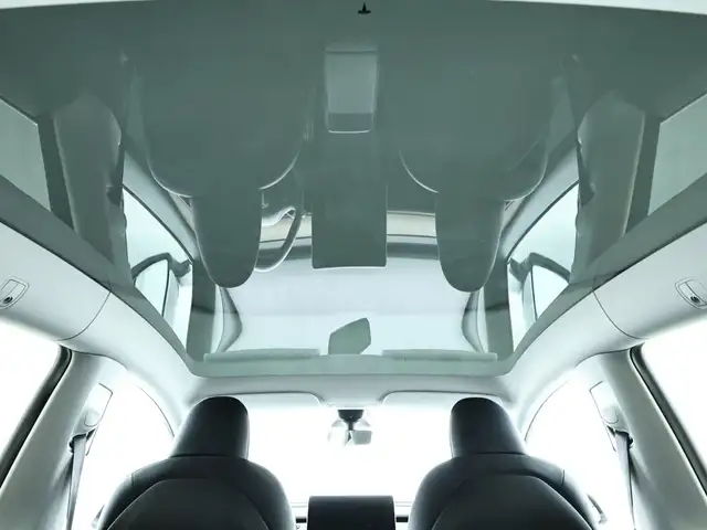 Tesla Model Y view 14