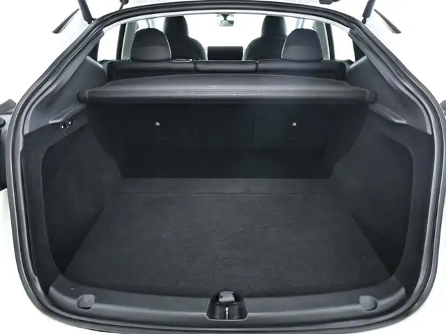 Tesla Model Y view 6