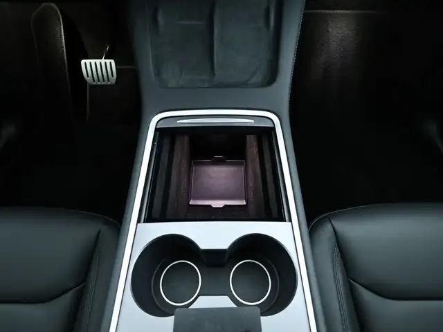 Tesla Model Y view 12