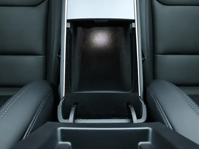 Tesla Model Y view 13
