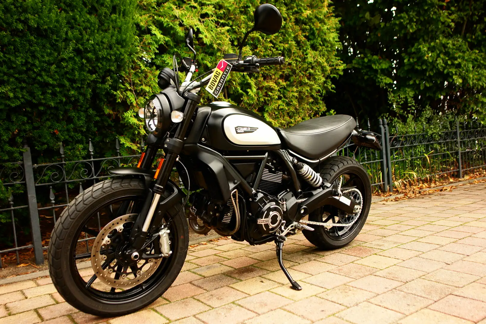 Ducati Scrambler 800 Noir - 2